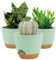 16.5CM Plant Pots Indoor,Self Watering Plant Pots of 3,Flower Pots with Drainage Holes and Trays,Decorative Modern Suitable for flowers,Snake Plant,Orchid,Lily,Aloe,Violet and House Plant(Green)