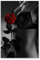 Postereck - 0042 - Sexy Frau, Rose Erotik Sinnlich Blume Rot BH - Erotisch Sexy Nackt Wandposter Fotoposter Bilder Wandbild Wandbilder - Poster - 3:2-91,0 cm x 61,0 cm