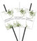 50 Etiketten für Wunderkerzen oder Knicklichter I Liebe beginnt mit einem Funken I Blumen-Arrangement Motiv I Gastgeschenk I für den besonderen Tag I Stilvoll I Hochzeit I dv1101