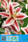 Lilienzwiebeln : Lilien Lilium orientalis Orientalische Lilie  Tigerwoods  1 Blumenzwiebeln