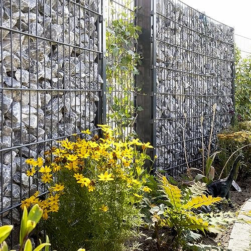 Gabionen Zaun Set 656 | gabione | Doppelstabmattenzaun | Steinkorb | Steinwand | Anthrazit 27.5-163 cm