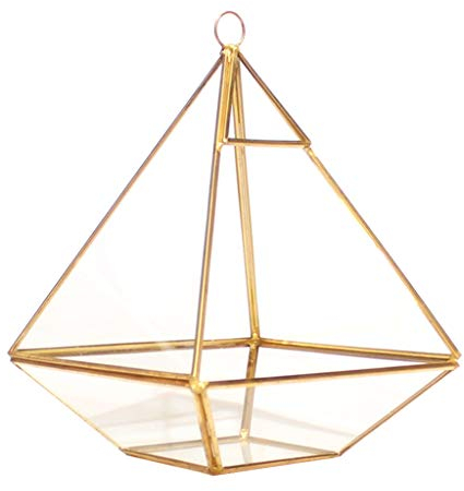 Transparente Glasbox mit goldener geometrischer Linie, Schmuckdisplay für Etui, 15 x 15 x 20 cm, dekoratives Ornament, Glasterrarium mit Deckel