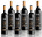 Masi Tupungato CORBEC 2020 | Vino Rosso di Argentina BIO | 6x750 ml | Appassimento Expertise | Caja de 6 botellas