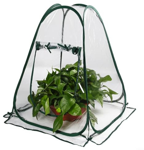 Advokingtap Mini serre portable en PVC transparent pour jardin, jardin, cour, terrasse