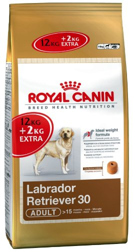 Royal Canin Breed Labrador Retriever 30 Adult, 1er Pack (1 x 14 kg Packung)