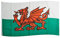 BANDERA de GALES 150x90cm - BANDERA GALESA 90 x 150 cm - AZ FLAG
