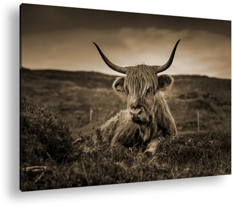 deyoli pelziges Rind auf schottischer Landschaft Format: 120x80 Effekt: Sepia als Leinwandbild, Motiv fertig gerahmt auf Echtholzrahmen, Hochwertiger Digitaldruck mit Rahmen