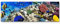 Paul Sinus Art Leinwandbilder | Bilder Leinwand 120x40cm Korallenriff mit Fischen im Roten Meer