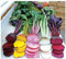 rote Beete Samen Rainbow 250 x Samen 100% Natursamen mehrfarbig