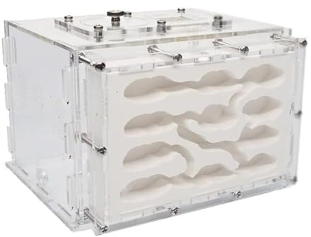 PIPONS Ameisenfarm Nistkasten, Ameisennest-Farm DIY Gips Ameisenfarm Gips Ameisennest Mit Fütterungsbereich Befeuchten Ökologische Ameisenwerkstatt Ameisenhaus(L)