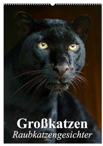 Großkatzen. Raubkatzengesichter (Wandkalender 2026 DIN A2 hoch), CALVENDO Monatskalender: Die unbeschreiblich schönen Gesichter von Großkatzen sind immer wieder ein Freude. (CALVENDO Tiere)