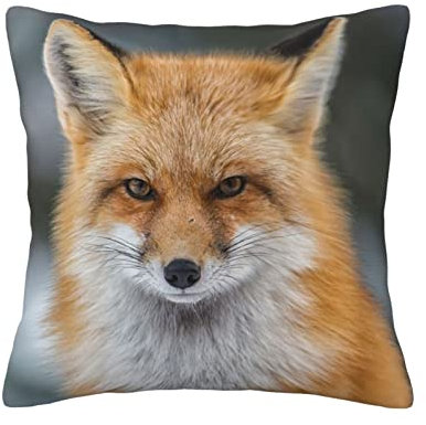 ASEELO Fuchs-Kissen, 45,7 x 45,7 cm, für Wohnzimmer, Schlafzimmer, Sofa, Couch, Outdoor-Kissenbezüge