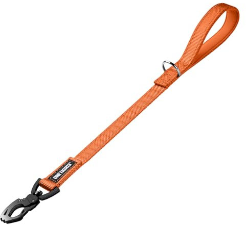 OneTigris Bolt Kurzführer Hund 52cm, Hundeleine Kurz mit Tiger Zahn Metallclip und Weiche Polsterung, Reflektierend Nylon Hundeleine Geeignet für Mittlere Große Hunde Orange