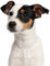 Fensterbild Jack Russell Terrier I beidseitig bedruckt I 24,6 x 18,6 cm I wiederverwendbar I statisch haftend I dv1322