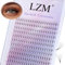 Premade Fans Eyelash Extensions 10D Thickness 0.07/D Curl Eyelashes Middle Stem Premade Fans Pointed Thin Base Handmade Volume Premade Lash Extensions Fans(10-14MM)