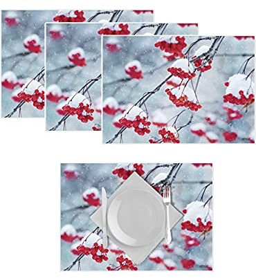Artipics Tischsets Winterbeeren Platzsets Abwaschbar Aus Kunststoff 4 Stück