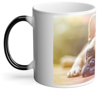 Thermoreagierende Tasse Magische Tasse – Mops Pug Kleiner Hund Sonne Outdoor Natur niedliches Foto – 325 ml