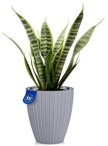 KONZEPT Pot de Fleurs avec Insert, 29 cm de diamètre, Cache-Pot en Argent, Pot de Plantes cannelé