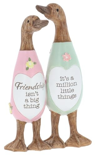 Shudehill Giftware Daisy Message Cute Wooden Duck Ornament - Mum, Nan, Friends, Family and More Sentimental Messages, Gift Ideas For Her (Friendship)