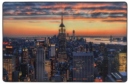 bnmklda Schmutzfangmatte New York City, bedruckt, 100 x 150 cm, rutschfest, maschinenwaschbar, Eingangsteppich für Wohnzimmer, Schlafzimmer, Büro und Balkon