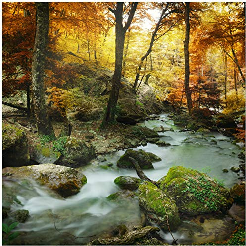 Wallario Glasbild Wasserfall mit moosbedeckten Steinen im Herbstwald - 50 x 50 cm Wandbilder Glas in Premium-Qualität: Brillante Farben, freischwebende Optik