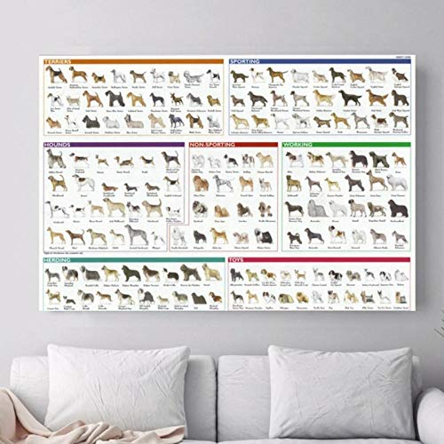 artaslf Hunderassen Verschiedene Tiere Diagramm Poster Malerei Kunst Poster Druck Leinwand Home Decor Bild Wanddruck- 50x70cm ungerahmt