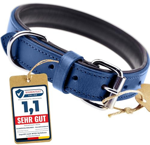 Schnüffelfreunde Halsband für Hunde aus Leder, Hundehalsband für den großen, mittleren und kleinen Hund, Lederhalsband gepolstert, robust (S - 24-30cm, Blau)