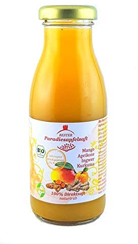 Ingwer Kurkuma LONG SHOT Smoothie- 12 x 250 ml - aus 100% Bio Direktsaft