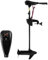 TANGZON Electric Trolling Motor, 12V 55lbs/ 24V 86lbs Thrust Transom Mounted Boat Engine with Telescopic Handle & LED Battery Indicator, Bow Mount Outboard Motors for Saltwater Freshwater (12V 55lbs)