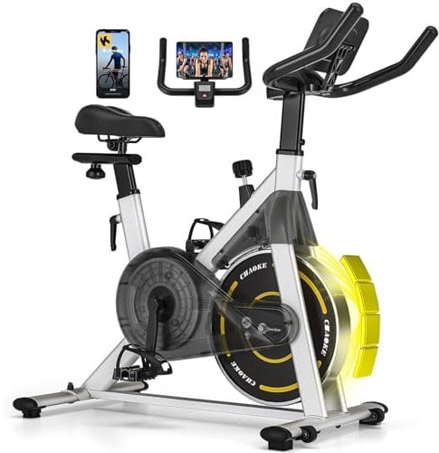Exercise Bike, CHAOKE Stationary Bike for Home Fitness, Ultra-Quiet Magnetic Resistance Indoor Cycling Bike, Large Tablet Holder, Comfortable Seat, LCD Display, Strength Training