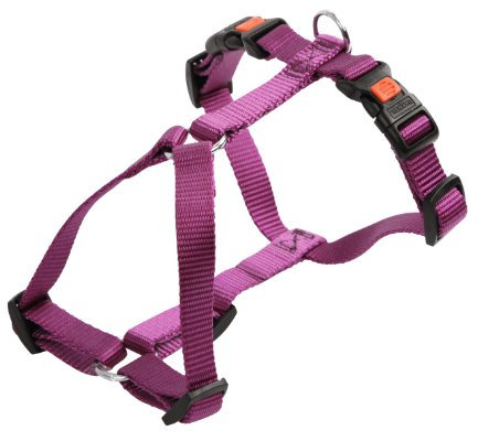 Kerbl Pet Geschirr Miami, lila, 20 mm, 55-76 cm