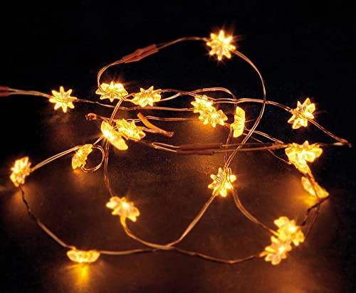 hellum 570830 LED-Lichterkette blankes Kabel 20 LEDs Indoor warm-weiß Motiv Stern batteriebetrieben