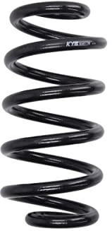 KYB Coil Spring ra6138 in Vorbereitung - X-Trail | Kompatibel mit: NISSAN X-TRAIL II