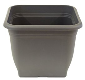 greemotion Pflanzkübel Pia Anthrazit-Grau - Blumentopf 23x23cm - 7L Blumenkübel Eckig - Übertopf UV-beständiger Kunststoff - Pflanztopf frostsicher - Pflanzgefäß mit Bodenlöchern - Pflanzen-Zubehör