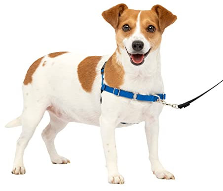PetSafe Easy Walk Hundegeschirr.