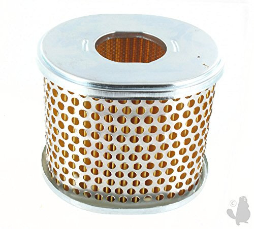 Greenstar 5375 Filtre à air pour Honda