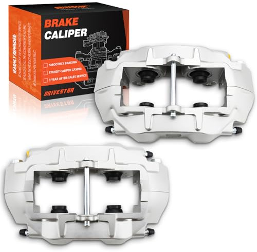 DRIVESTAR 187019 187020 New Rear Left & Right Brake Calipers, fit 1965-1967 & 1969-1982 for Corvette, OE-Quality