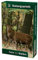 Tiere des Waldes: Quelle & Meyer Naturquartett