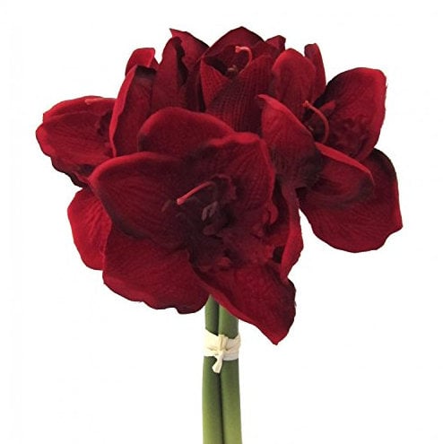 Fuchs seit 1895 Künstlicher Amaryllis Bund in dunkelrot Kunstpflanze 30 cm