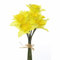 Floristrywarehouse Kunstseide Narzissen Bündel 9 Stiele realistisch gelbe Blumen 33cm