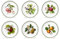 Portmeirion, Set 6 Piatti Frutta