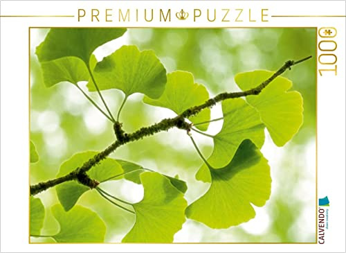 CALVENDO Puzzle Gingko biloba - der Heilige Baum | 1000 Teile Lege-Größe 64 x 48 cm Foto-Puzzle für glückliche Stunden
