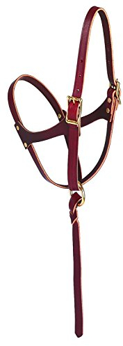 Weaver Leather HALTER, FIGURE 8 FOAL Headstall, Rost, 5/8 Inches