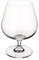 Villeroy & Boch Entree Brandy Glass, Crystal, Transparent