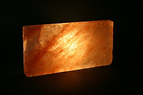 50x (1 mq) Mattoni di sale, piastrelle di sale 20 x 10 x 2,5 cm, sale dell'Himalaya* (dalla Salt Range, Pakistan)