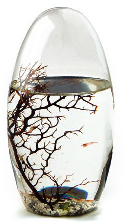 KaRo Products ECOSPHERE Ei 13CM - Weiß LINE - Aquarium Miniatur-Welt mit Garnelen