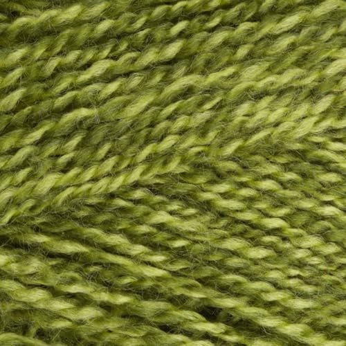 Stylecraft Knitting Yarn/Wool 100g Ball for Knit & Crochet, DK - Greengage (1124)