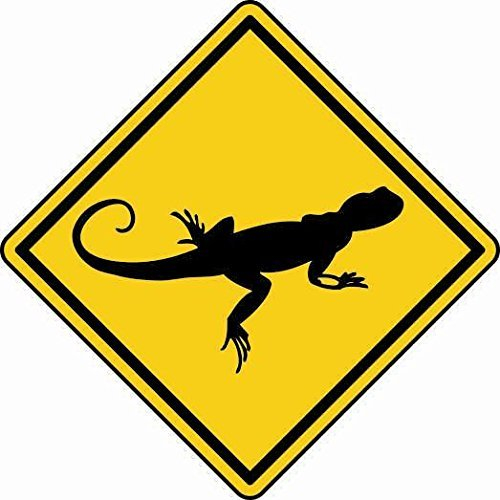 U24 Aufkleber Vorsicht Gecko Autoaufkleber Sticker