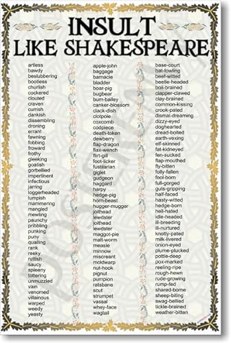 PosterEnvy Insult Like Shakespeare - NEW Humor Poster by