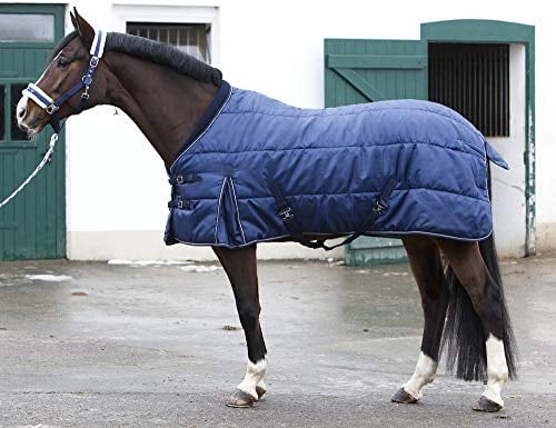 PFIFF 101672 Pferde Stall Decke Orlando, Winterdecke Pferdedecke Stalldecke, Blau 145 cm